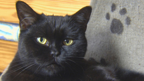 Chcete mě? - Chcete je?