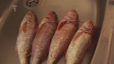 Postřehy odjinud - Chorvatsko očima Jaroslava Skalického