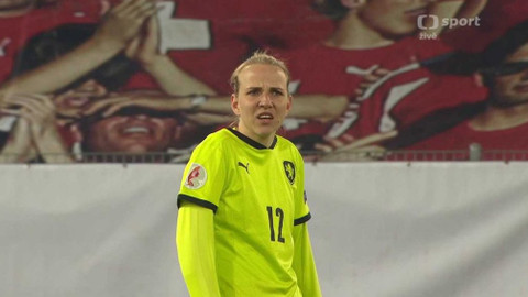Fotbal - Švýcarsko - Česko