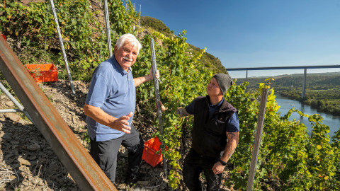 Vinorodé břehy - 4/7 Vinorodé břehy Mosely I