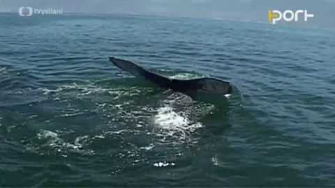 PORT - 15. října 2008