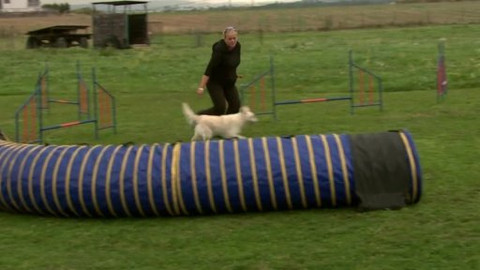 Polopatě - 13. října 2013