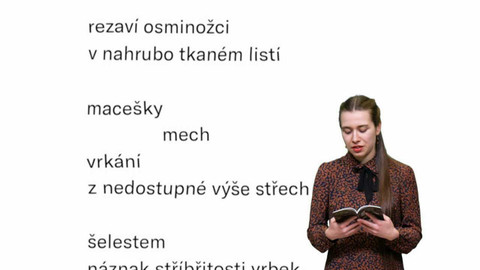 Jedna báseň - Anna Gažiová