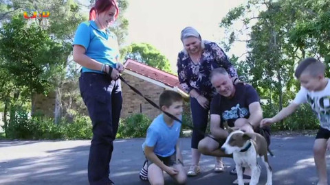 Zprávičky - 28. dubna 2020