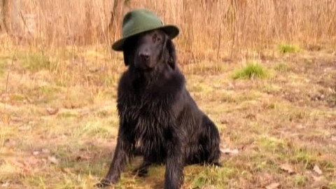 Tisíc let české myslivosti - 18. června 2009