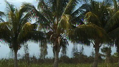 Objektiv - 19. března 2006