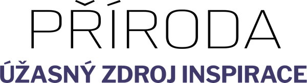 Příroda - úžasný zdroj inspirace