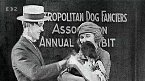 Laurel a Hardy - Šťastný psík II.
