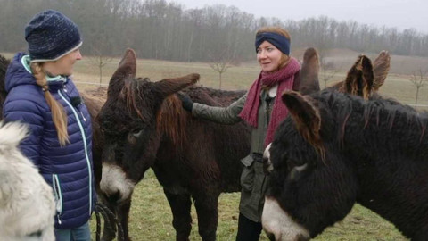 Co naše babičky uměly a na co my jsme zapomněli - Oslík