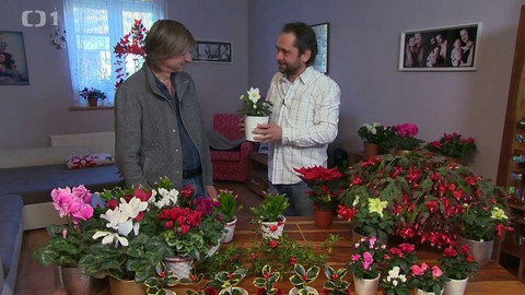 Polopatě - 10. prosince 2017