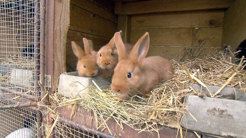 Chcete mě? - 18. října 2015