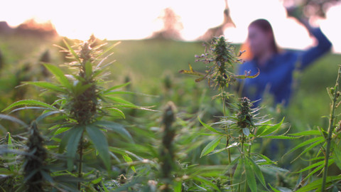 Herbář - Pozor, pozor