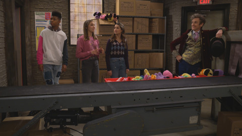 Práce bokem - Plyšákov