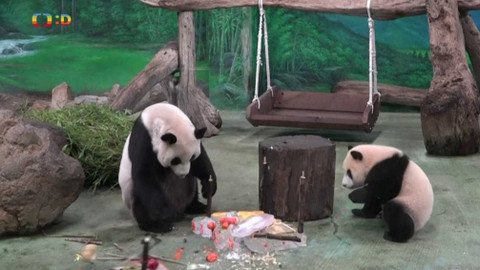 Zprávičky - 6. července 2021