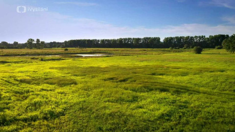 Kapka vody - Nové lesní porosty