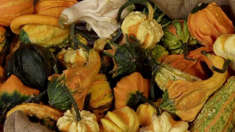 Polopatě - 25. září 2016