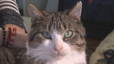 Chcete mě? - Chcete je?