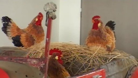 Toulavá kamera - 2. ledna 2011