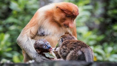 Chcete mě? - 20. ledna 2019