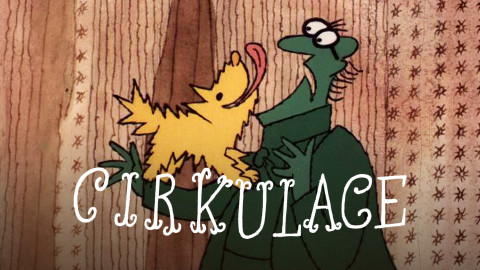 Cirkulace