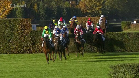 Velká pardubická - Před Velkou pardubickou 2020