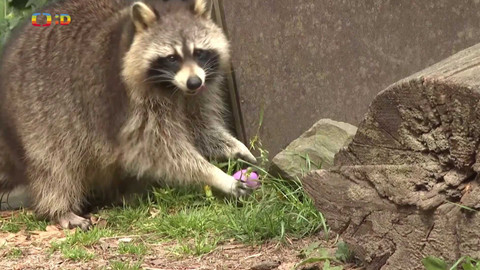 Zprávičky - 21. dubna