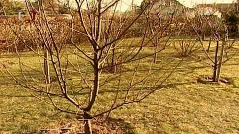 Zahrada je hra - 3. dubna 2008