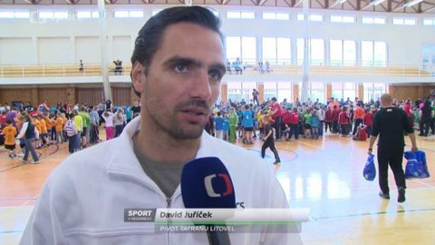 Sport v regionech - Litovel Minicup 2015