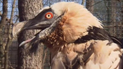 Přidej se - ZOO Praha III.