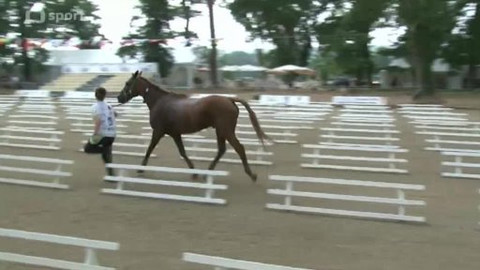 Jezdectví - MS juniorů a mladých jezdců v jezdecké vytrvalosti