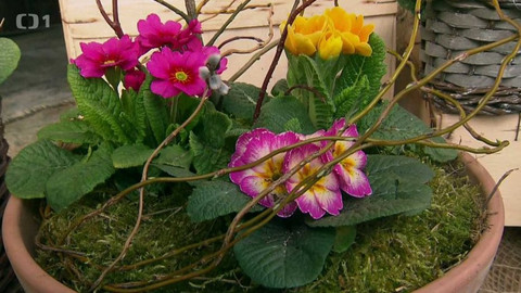 Hobby naší doby - 17. března 2018