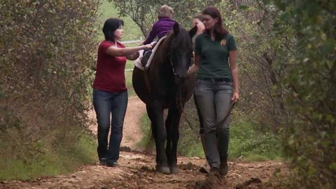 Gejzír - 5. listopadu 2014