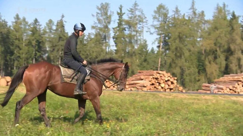 Velká pardubická - Před Velkou pardubickou