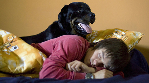 Trapasy - Nejlepší trapasy