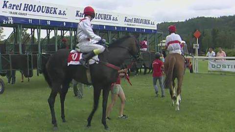 Jezdectví - Letní cena klisen