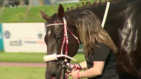 Turf - 15. května 2013