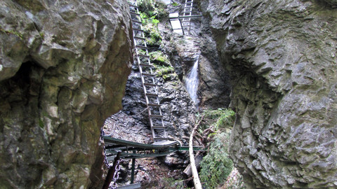 Návraty k divočině - Slovenský ráj