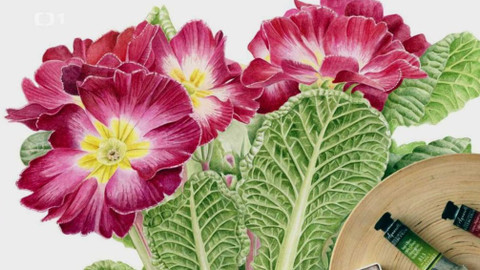 Gejzír - 30. dubna 2020