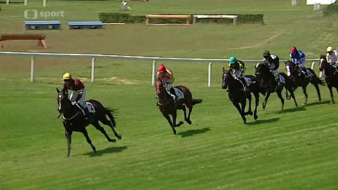 Dostihy - I. kvalifikace na 128. Velkou pardubickou s Českou pojišťovnou