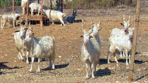 Máte mě! - 27. května 2012