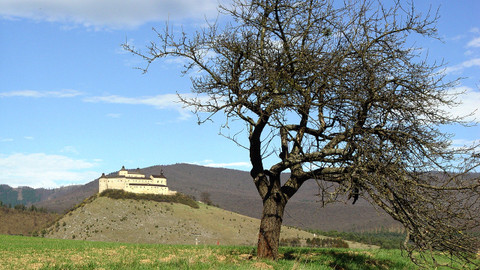 Návraty k divočině - Slovenský kras