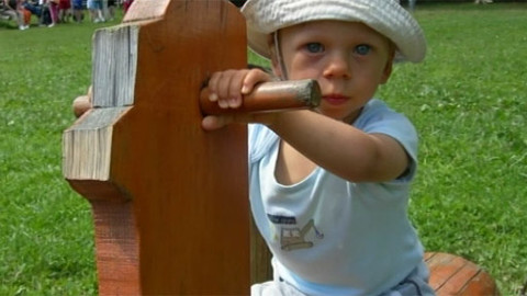 Pomozte dětem - Willík, občanské sdružení rodičů a přátel dětí s Williamsovým syndromem