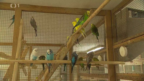 Týden v regionech (Ostrava) - 27. listopadu 2021