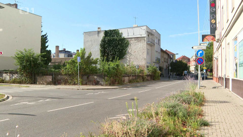 Černé ovce - 13. listopadu 2024