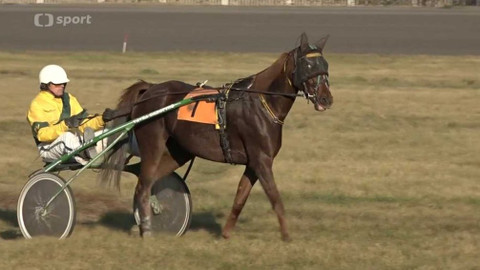 Dostihy - St. Leger - Velká cena primátora hlavního města Prahy