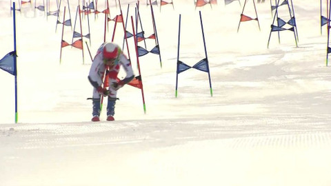 Olympiáda dětí a mládeže - Alpské lyžování