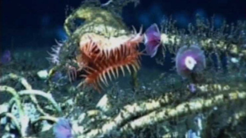 Dobrodružství vědy a techniky - Pohled do hlubin