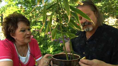 Hobby naší doby - Hoby naší doby