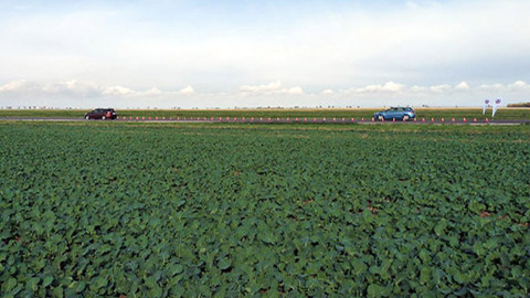 Besipky - Bezpečné dvě vteřiny