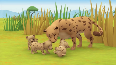 Leo, strážce přírody - Gepard kapský